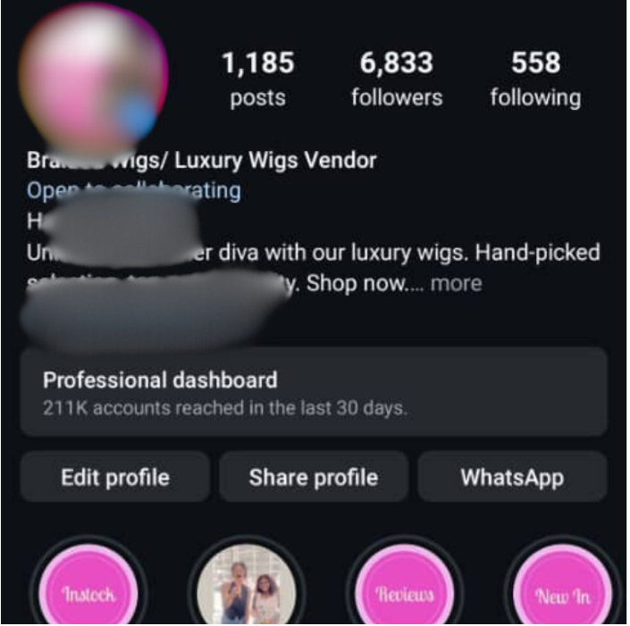 Hair Wig Vendor profile IG
