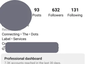 Independent Music Label Company
 instagram followers increase