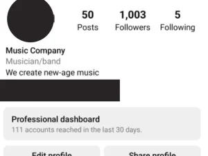 Music Label Company followers