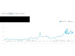 Online Clothing Retailer Store keyword visibility
